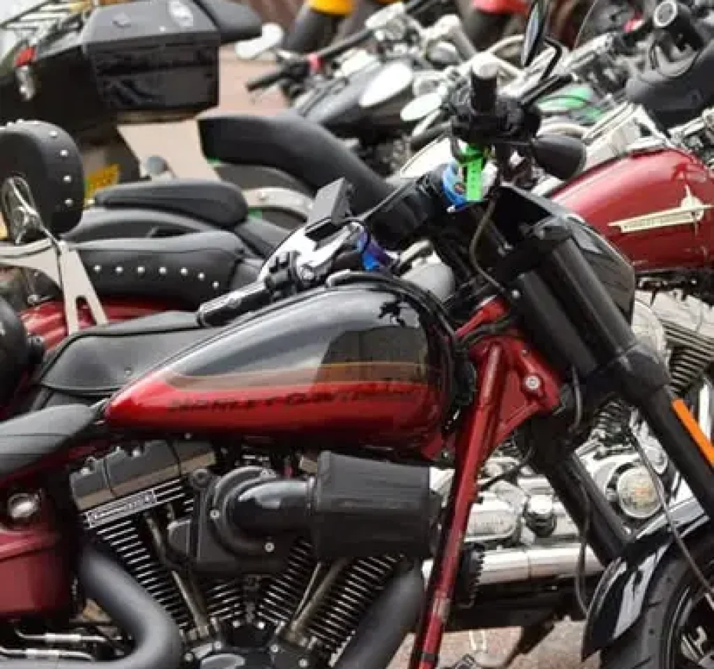 68965252_737674053318818_3176552469182283776_n